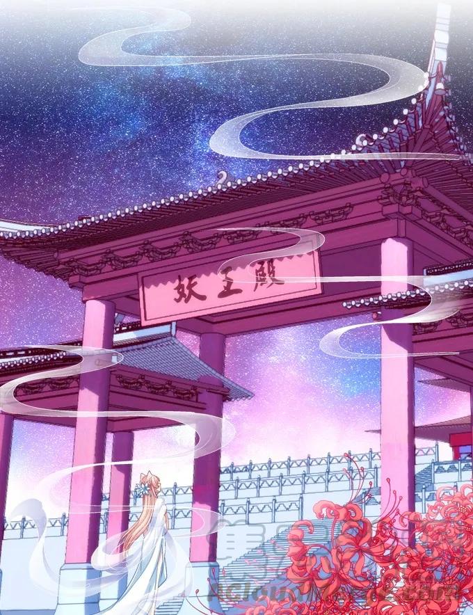 《猫妖的诱惑》妖王殿 第13页