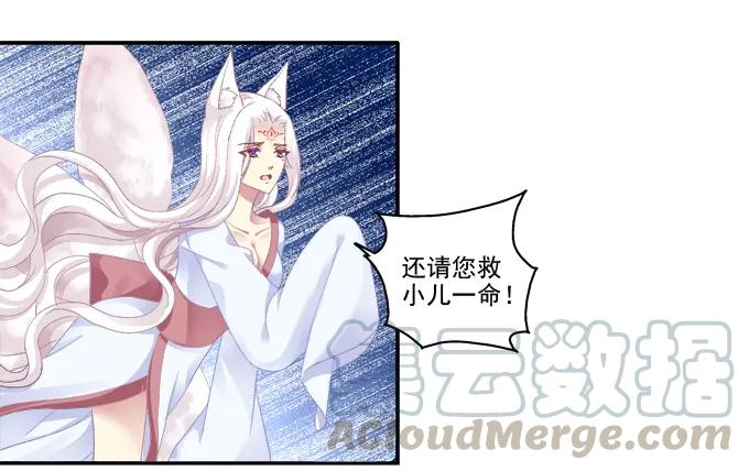《猫妖的诱惑》求你救救它 第5页