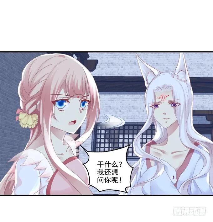 《猫妖的诱惑》求你救救它 第19页