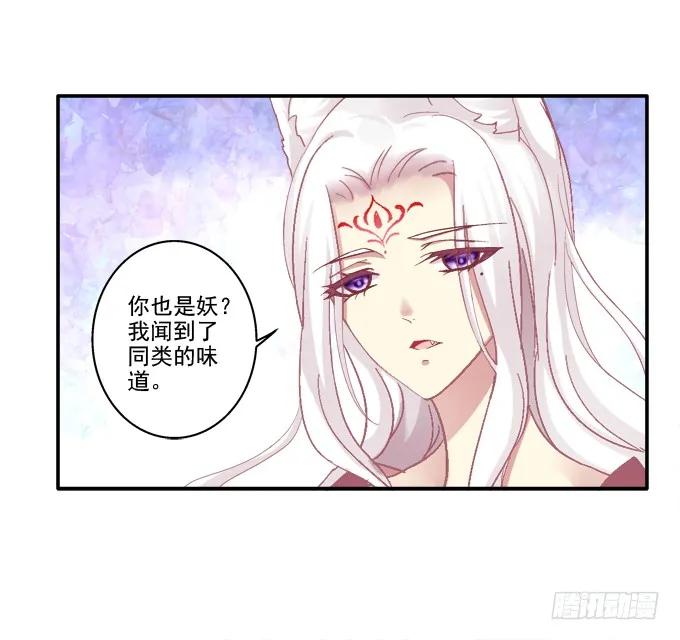 《猫妖的诱惑》求你救救它 第3页