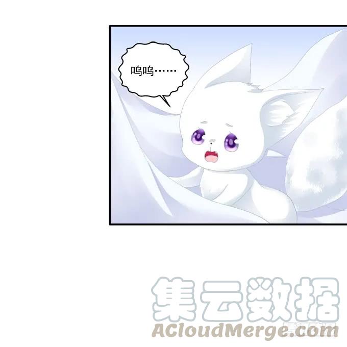 《猫妖的诱惑》求你救救它 第41页