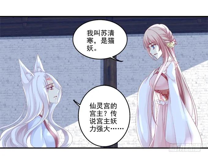 《猫妖的诱惑》求你救救它 第4页