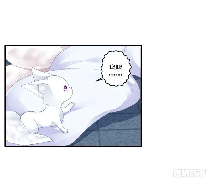 《猫妖的诱惑》求你救救它 第7页