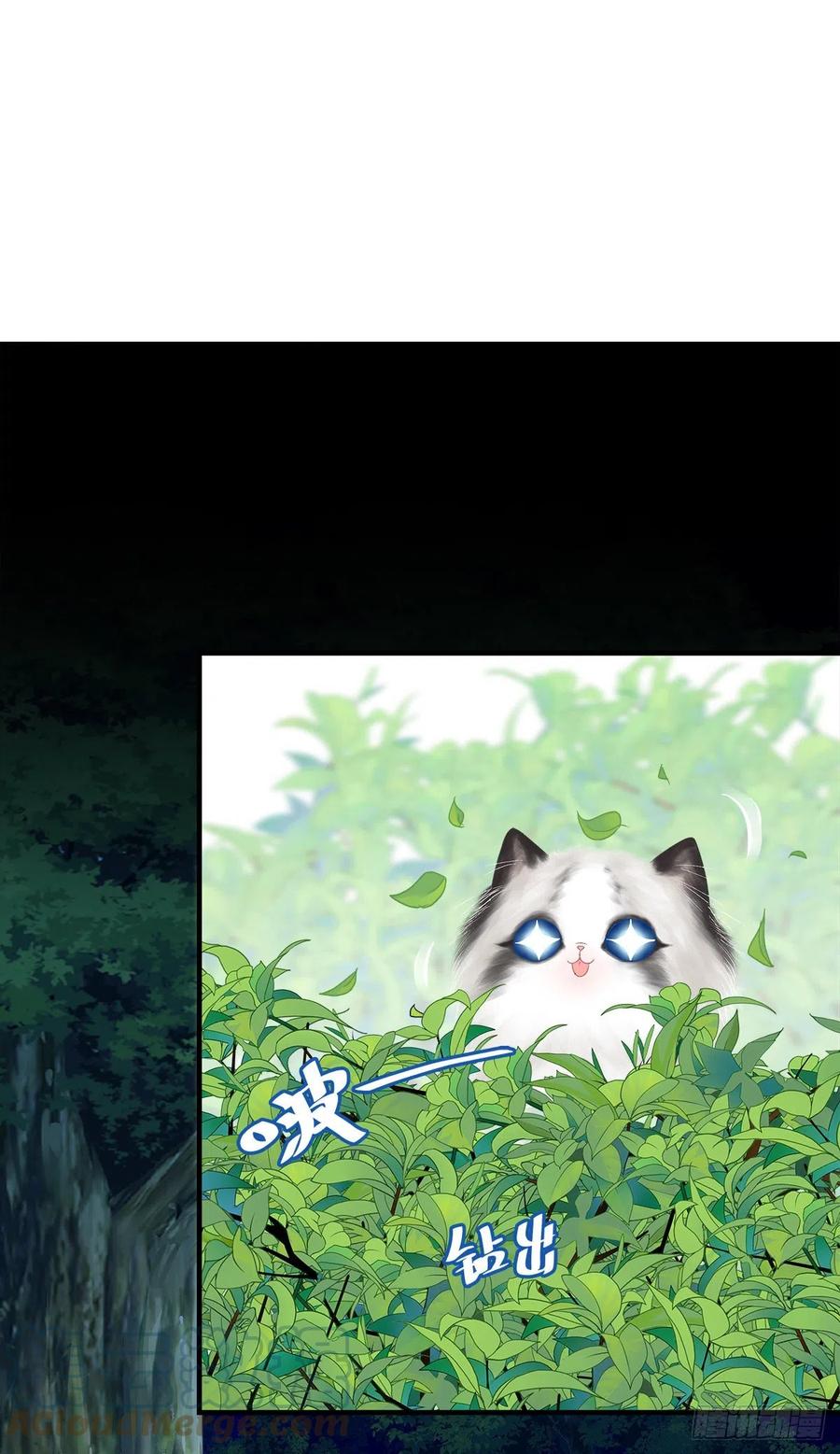 《猫妖的诱惑》你要娶的人，是谁？ 第23页