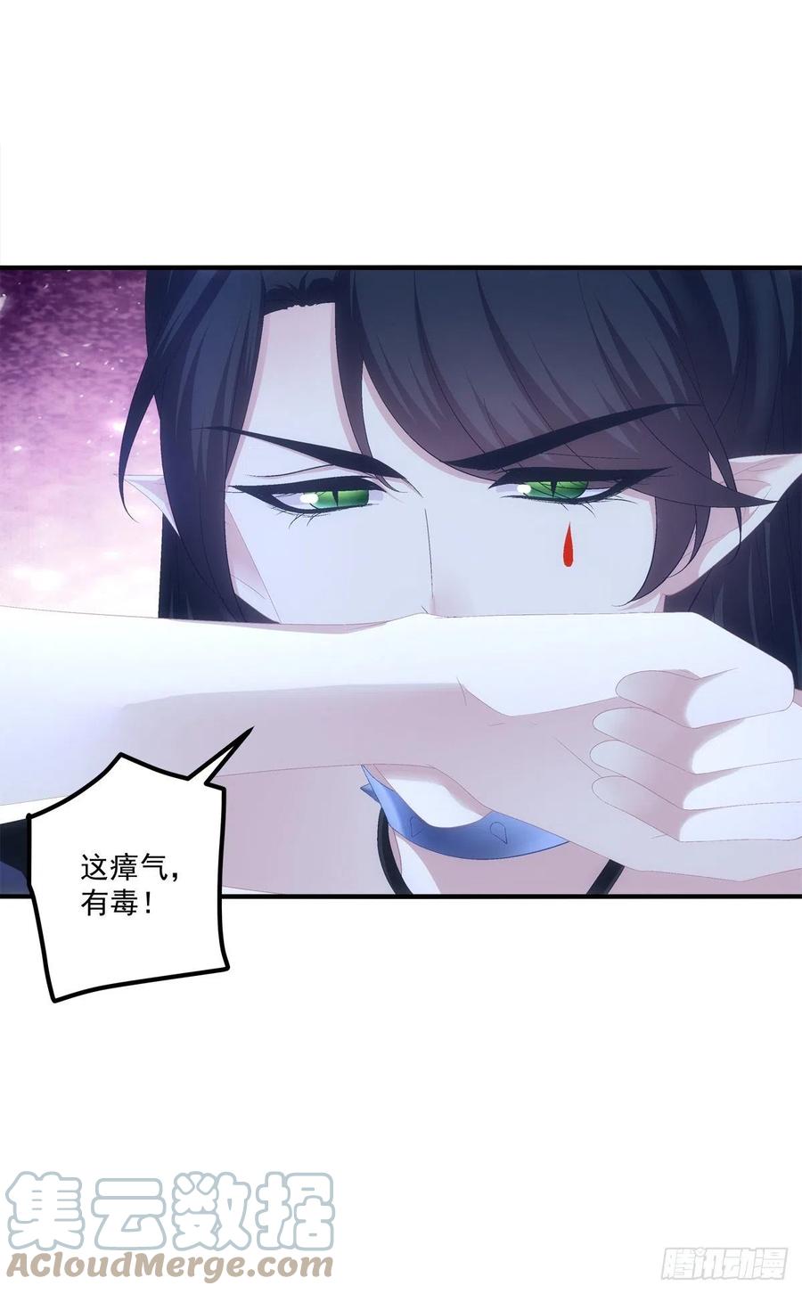 《猫妖的诱惑》暴露。 第37页