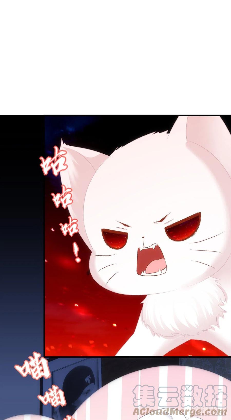 《猫妖的诱惑》我叫，沈月枝。 第40页