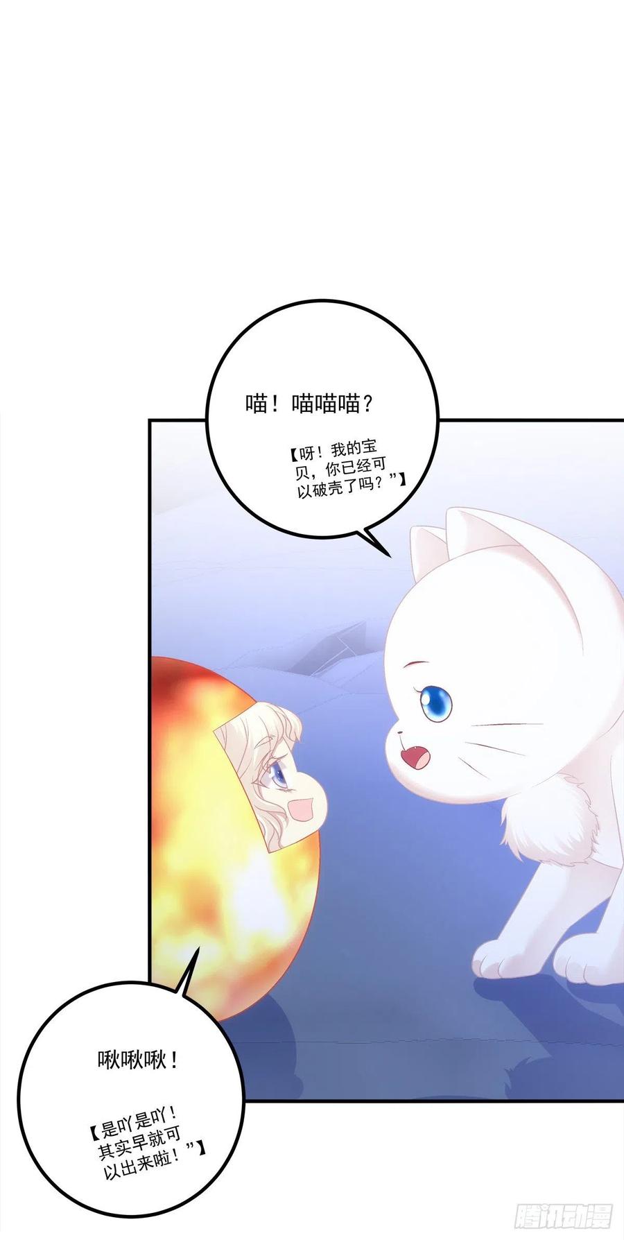 《猫妖的诱惑》我叫，沈月枝。 第35页
