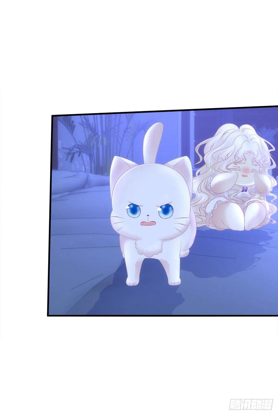 《猫妖的诱惑》我叫，沈月枝。 第54页