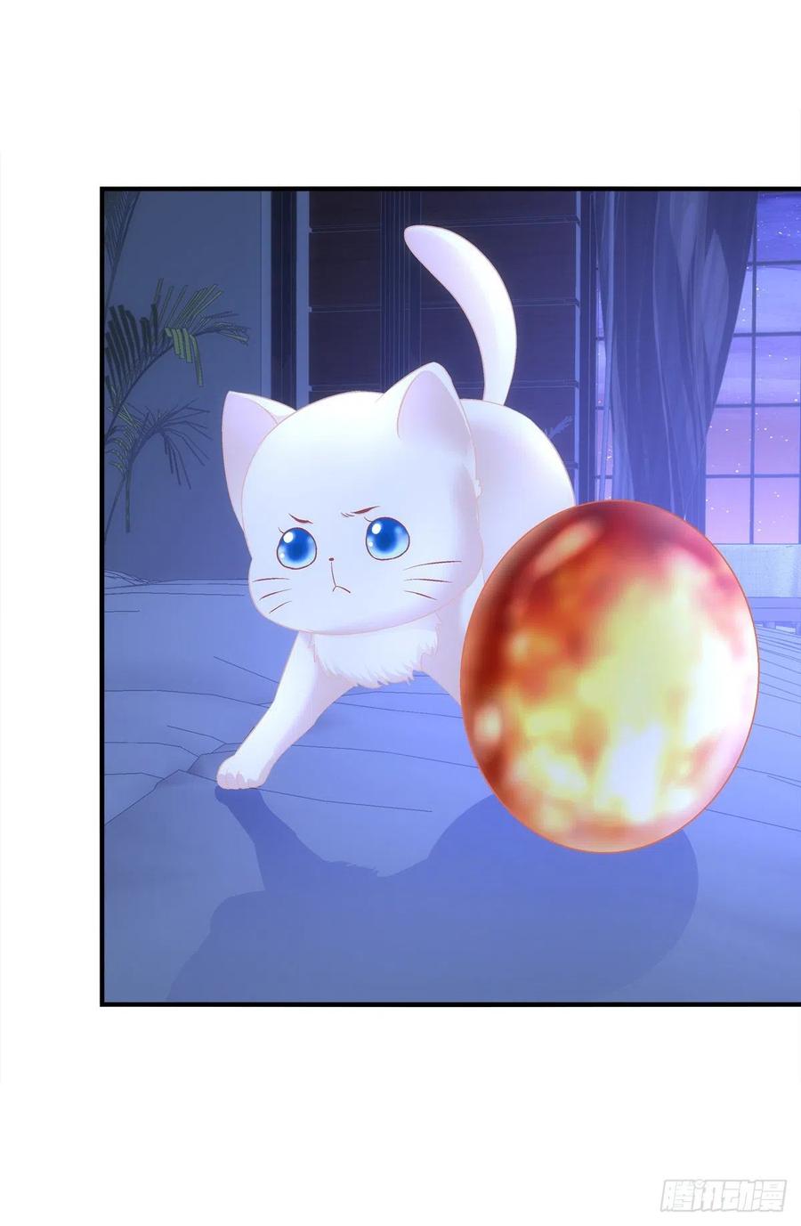 《猫妖的诱惑》我叫，沈月枝。 第32页