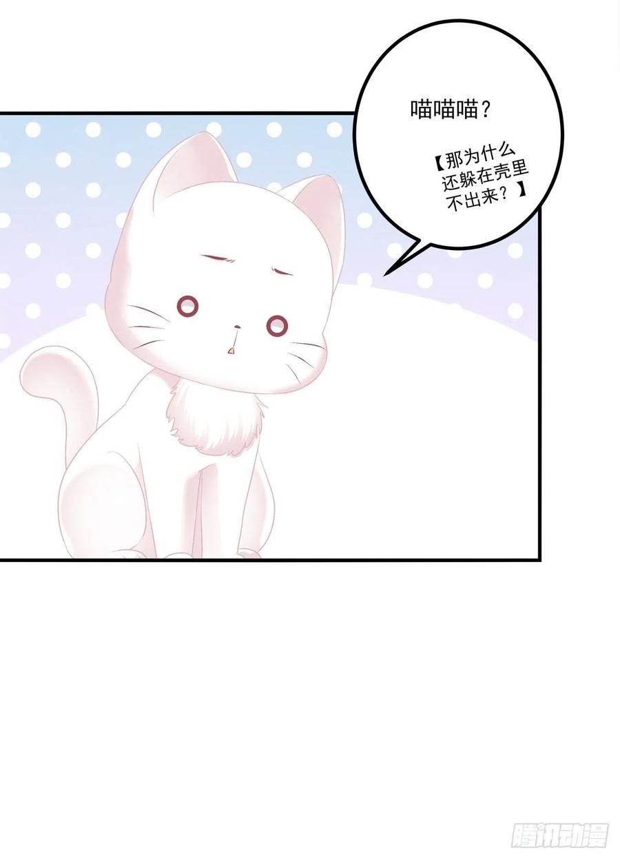 《猫妖的诱惑》我叫，沈月枝。 第36页