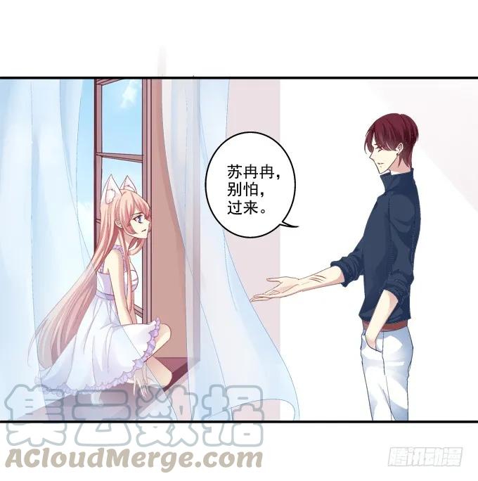 《猫妖的诱惑》妖精黏人 第29页