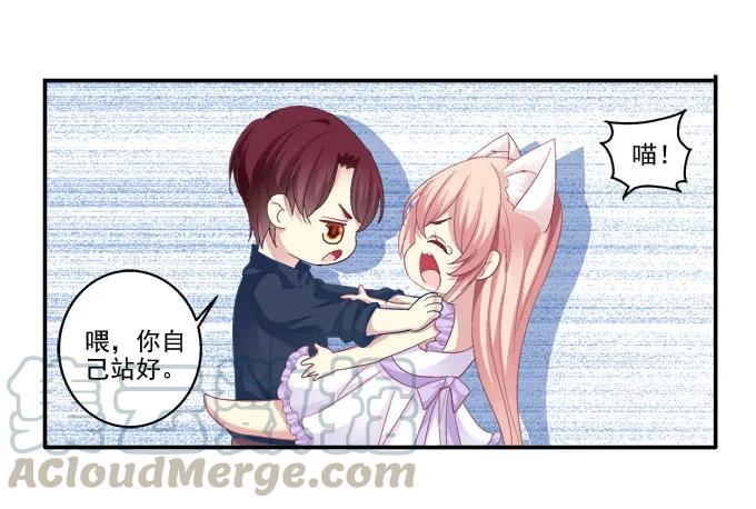《猫妖的诱惑》妖精黏人 第37页