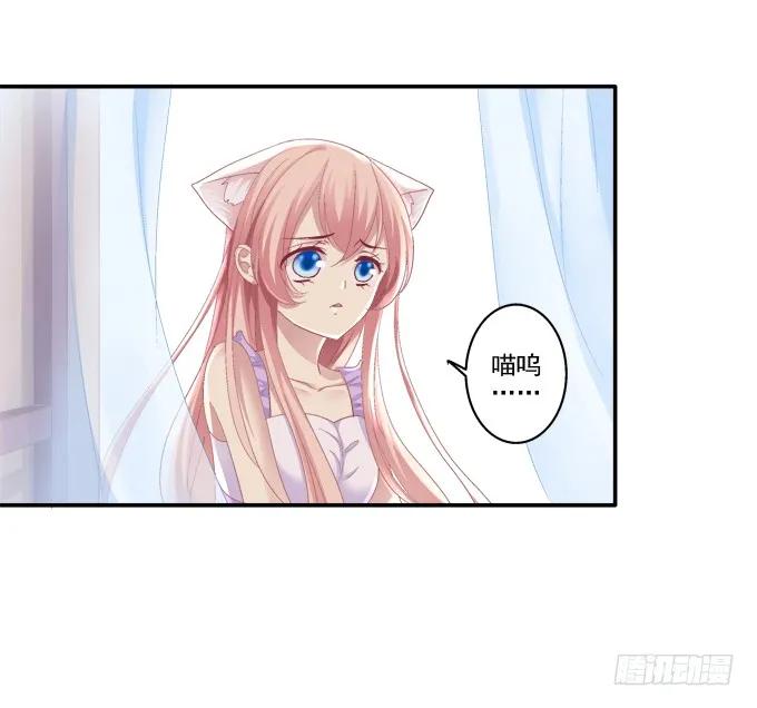 《猫妖的诱惑》妖精黏人 第27页