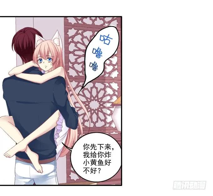 《猫妖的诱惑》妖精黏人 第38页