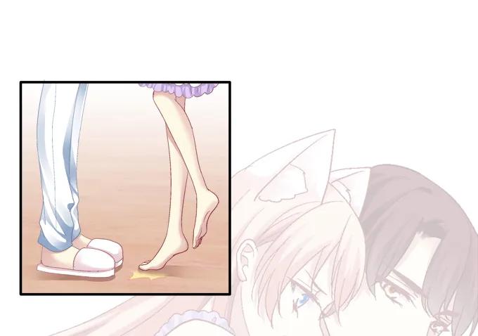 《猫妖的诱惑》妖精黏人 第40页