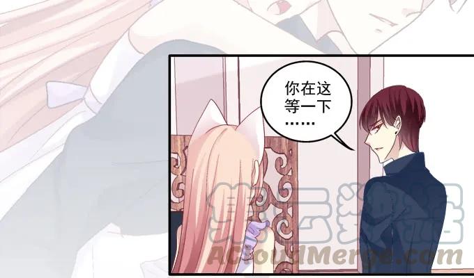 《猫妖的诱惑》妖精黏人 第41页