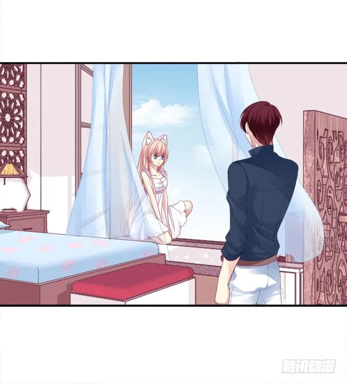 《猫妖的诱惑》妖精黏人 第20页