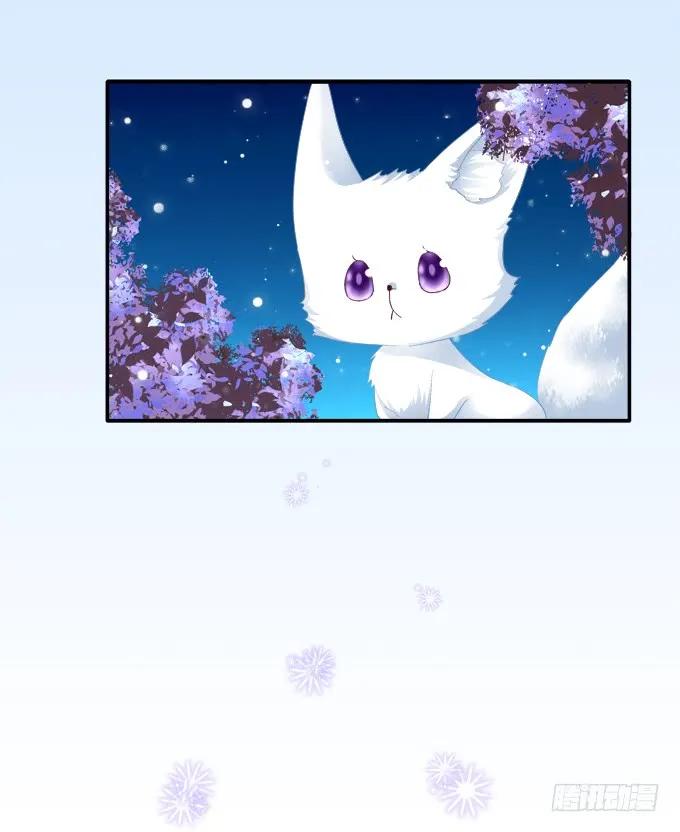 《猫妖的诱惑》妖精黏人 第3页