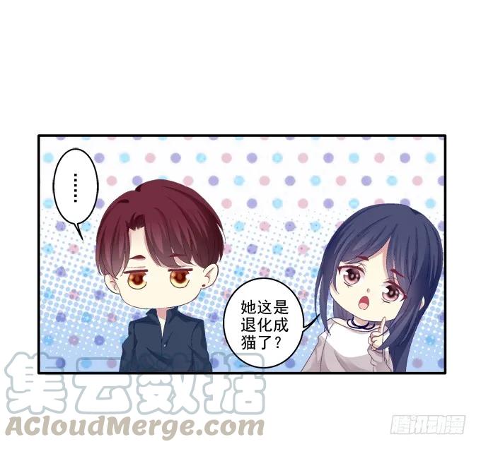 《猫妖的诱惑》妖精黏人 第17页