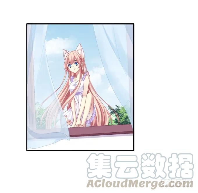 《猫妖的诱惑》妖精黏人 第13页