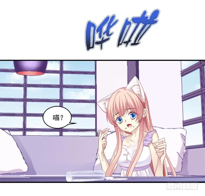 《猫妖的诱惑》哥哥驾到！ 第24页
