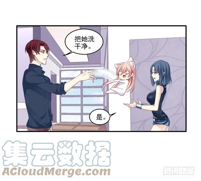 《猫妖的诱惑》哥哥驾到！ 第31页