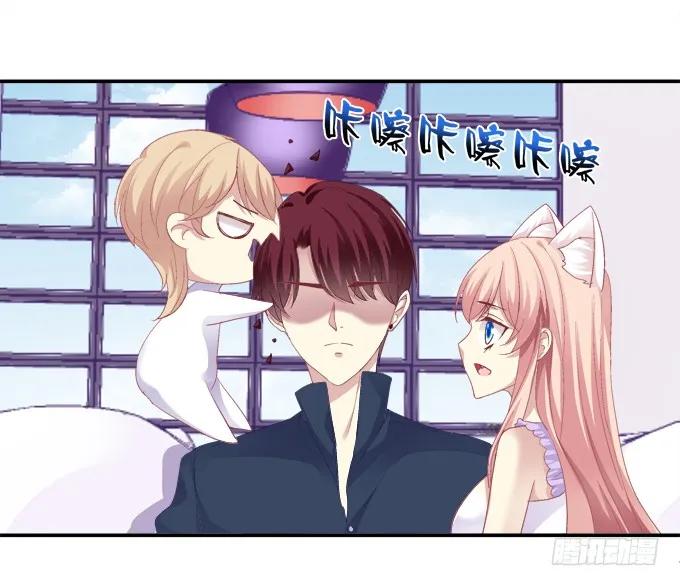《猫妖的诱惑》鸡飞猫跳 第36页