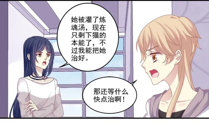 《猫妖的诱惑》鸡飞猫跳 第30页
