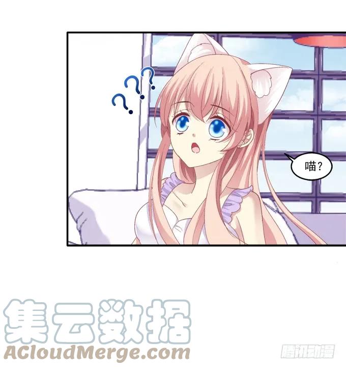 《猫妖的诱惑》鸡飞猫跳 第29页