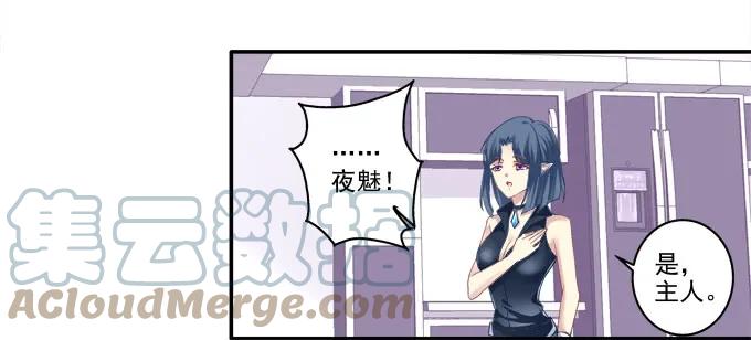 《猫妖的诱惑》鸡飞猫跳 第37页