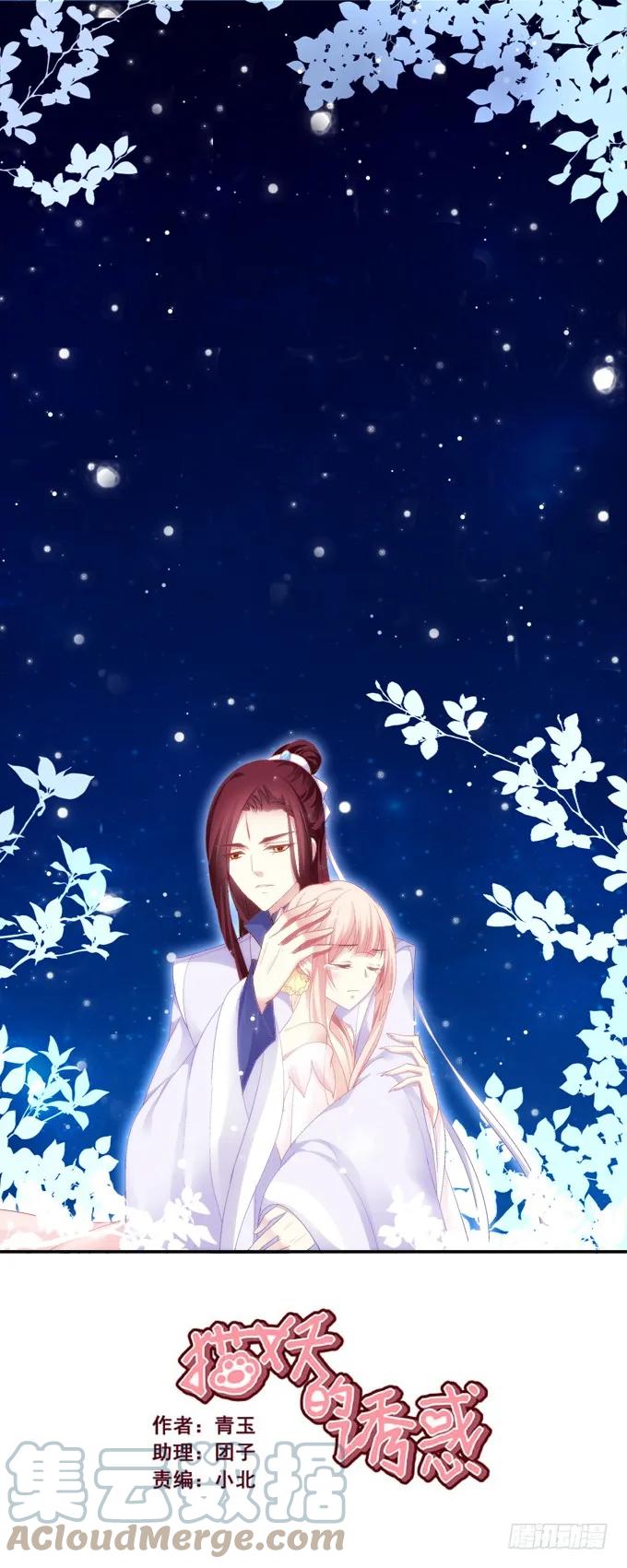 《猫妖的诱惑》鸡飞猫跳 第1页