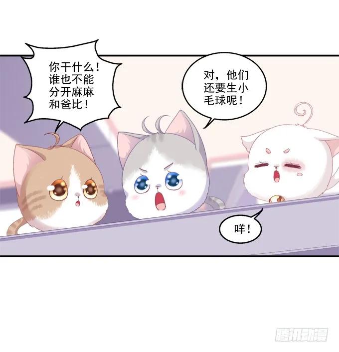 《猫妖的诱惑》鸡飞猫跳 第34页