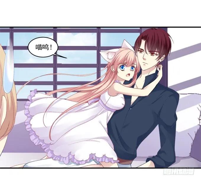 《猫妖的诱惑》鸡飞猫跳 第26页