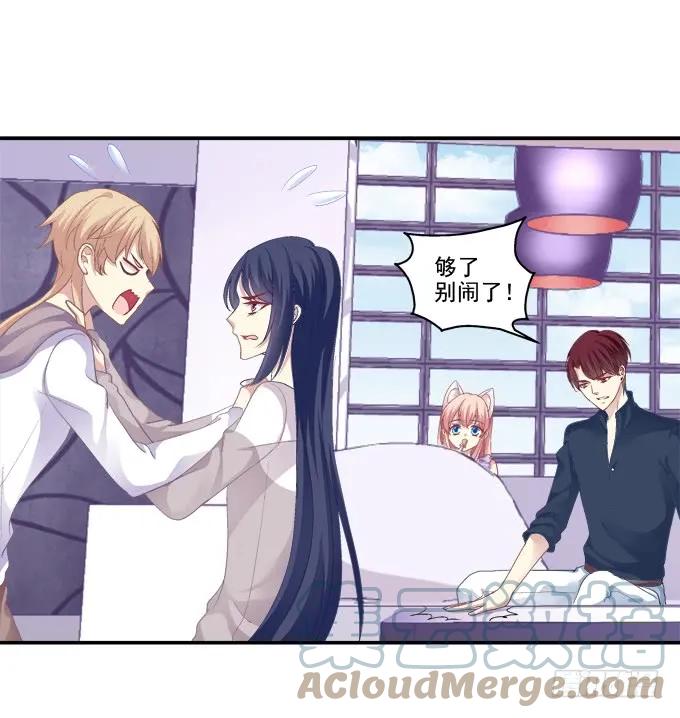 《猫妖的诱惑》鸡飞猫跳 第23页