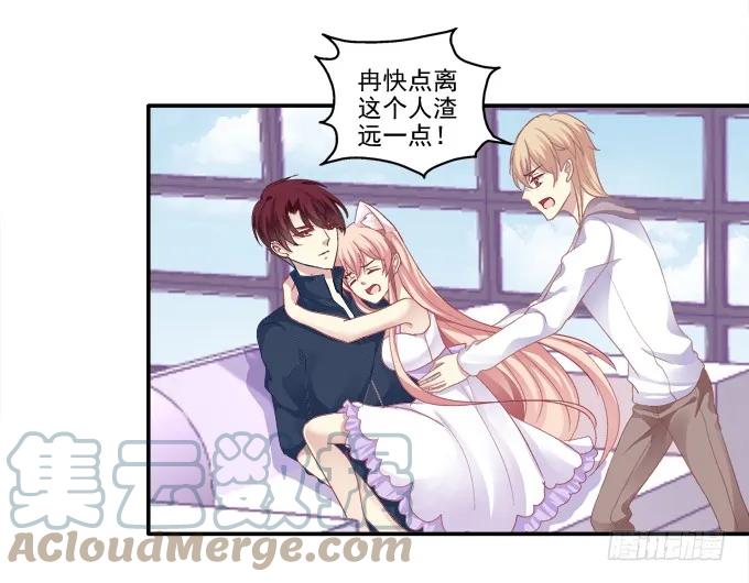 《猫妖的诱惑》鸡飞猫跳 第31页