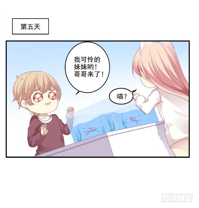 《猫妖的诱惑》猫妖回魂 第25页