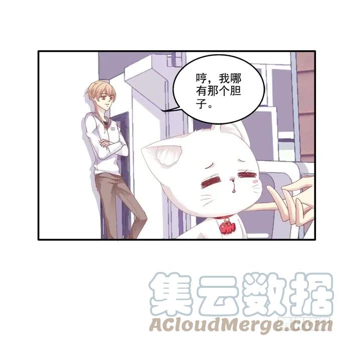 《猫妖的诱惑》猫妖回魂 第6页