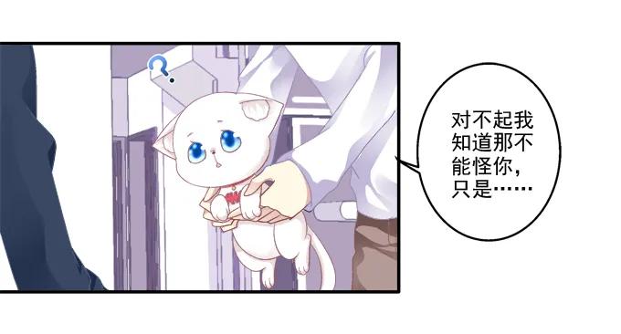 《猫妖的诱惑》猫妖回魂 第13页