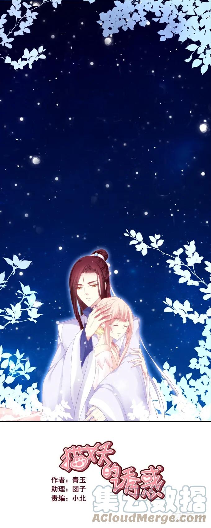 《猫妖的诱惑》猫妖回魂 第1页