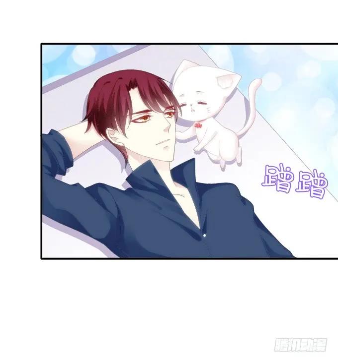 《猫妖的诱惑》猫妖回魂 第4页