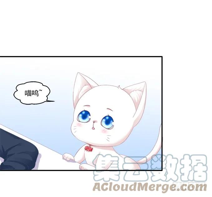 《猫妖的诱惑》猫妖回魂 第3页