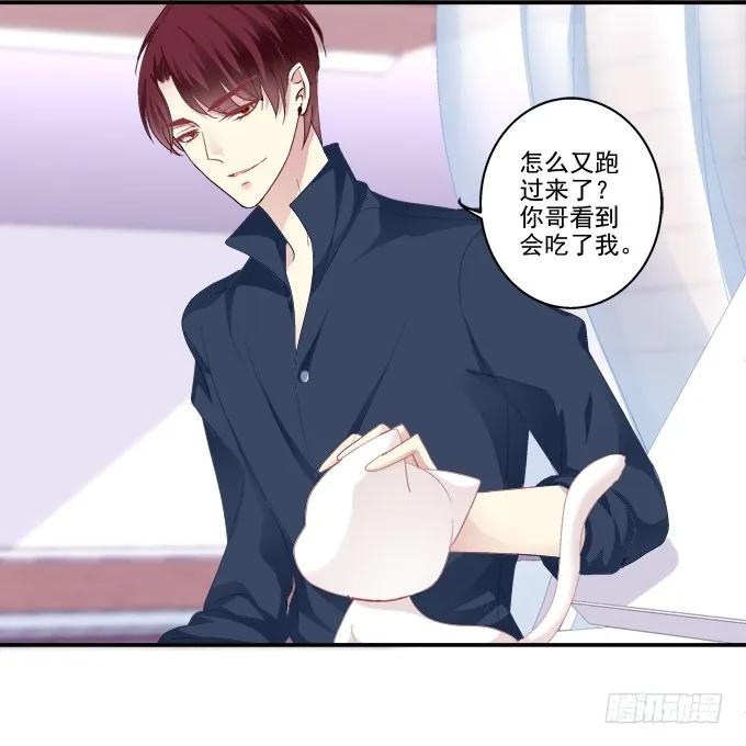 《猫妖的诱惑》猫妖回魂 第5页
