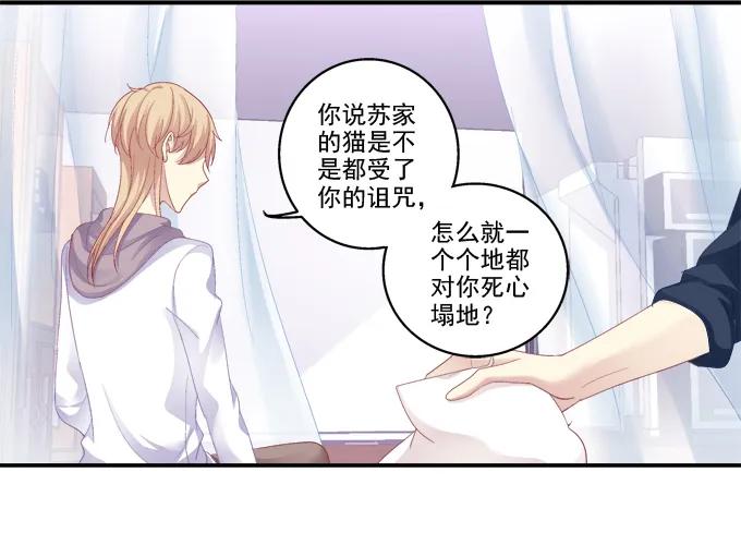 《猫妖的诱惑》猫妖回魂 第7页