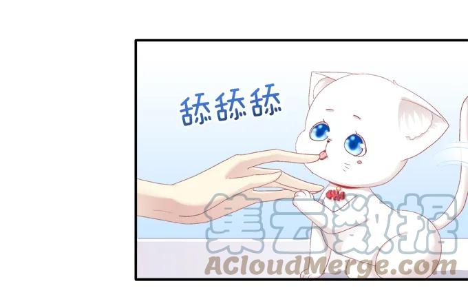 《猫妖的诱惑》猫妖回魂 第9页