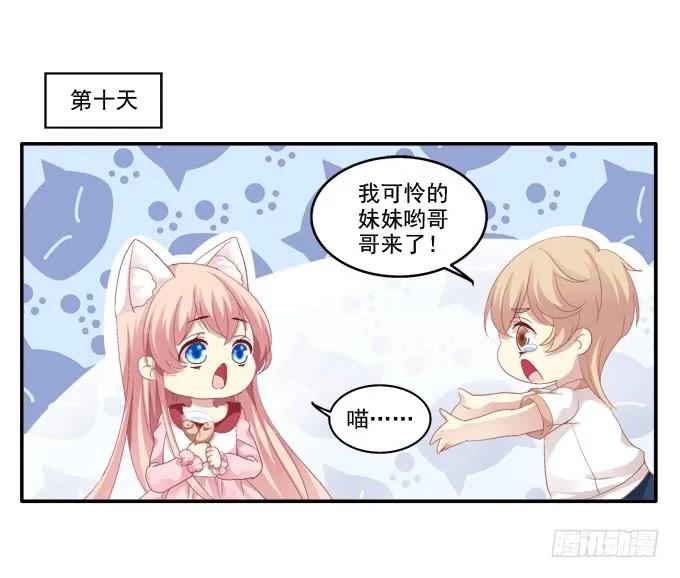 《猫妖的诱惑》猫妖回魂 第26页