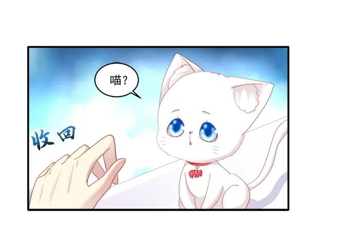 《猫妖的诱惑》猫妖回魂 第11页