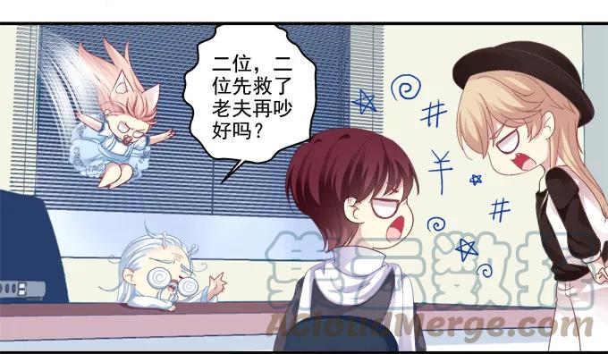 《猫妖的诱惑》萌娃出行 第37页
