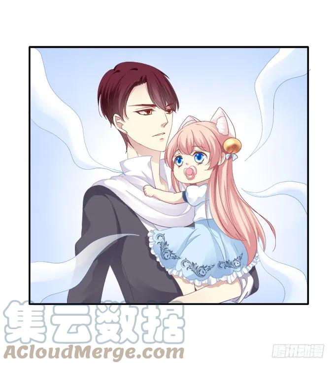 《猫妖的诱惑》萌娃出行 第11页