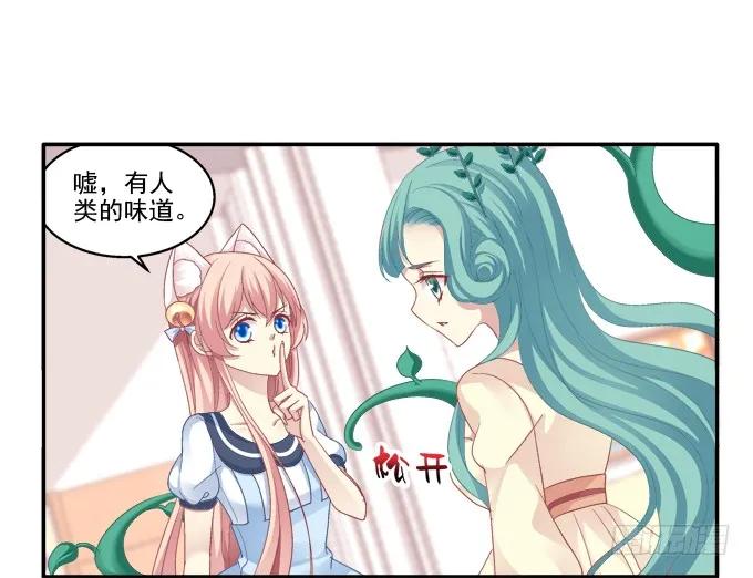 《猫妖的诱惑》遭遇偷袭 第13页
