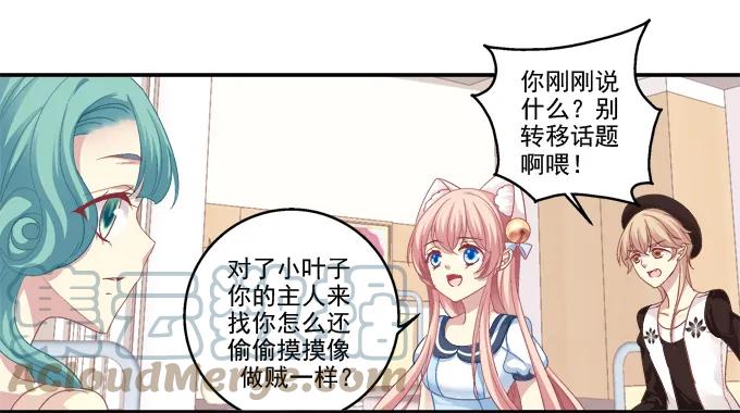 《猫妖的诱惑》遭遇偷袭 第30页